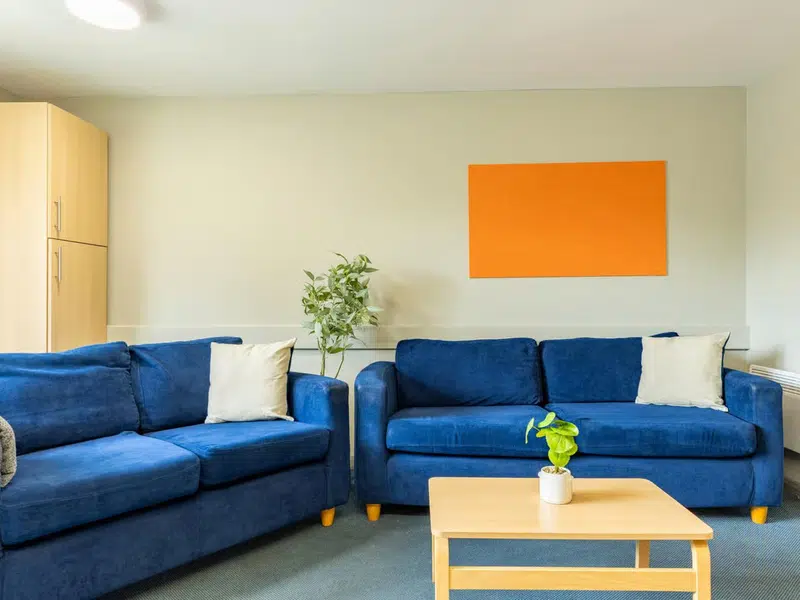 Classic 3 Bed Flat photo 3