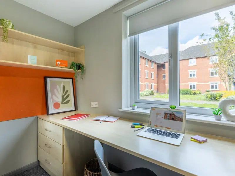 Classic 3 Bed Flat photo 4