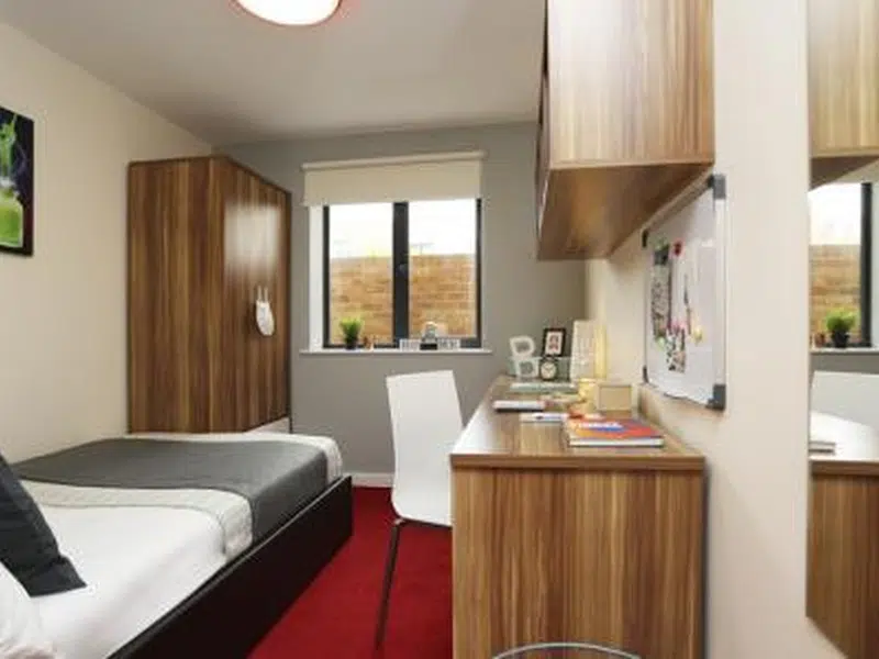 Classic En Suite, Lower Ground, Behn Hall photo 1