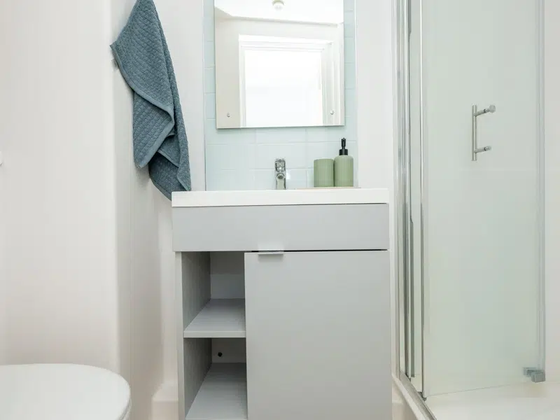 Classic Ensuite photo 6