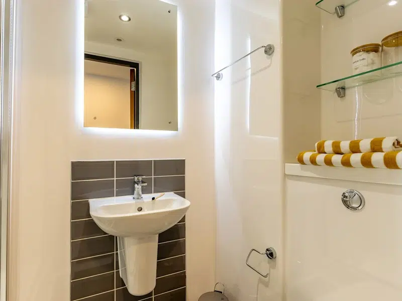 Classic Ensuite photo 6