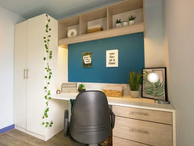 Classic Room photo 6