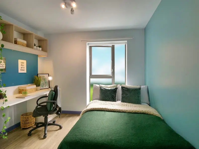 Classic Room photo 1