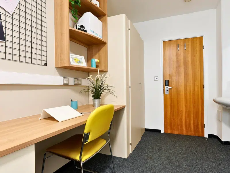 Classic Shared Apartment photo 3