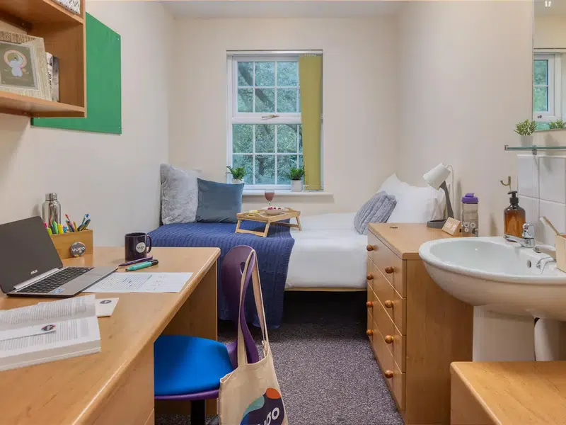 Classic Room photo 1