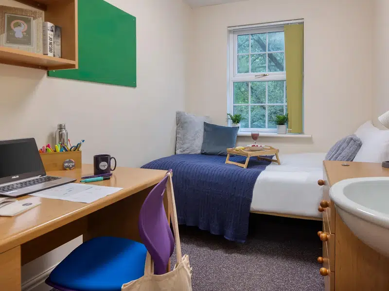 Classic Room photo 3