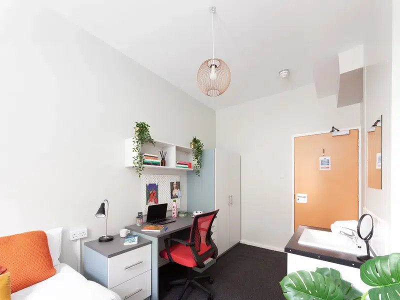 Classic Room photo 3