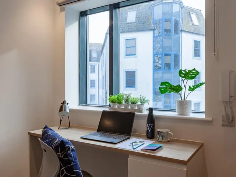 4 Bed Premium Ensuite photo 6