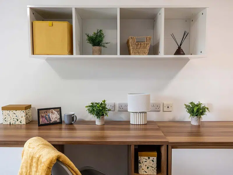Classic Studio photo 5