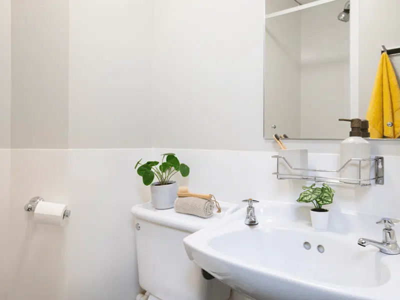 Premium Ensuite photo 3