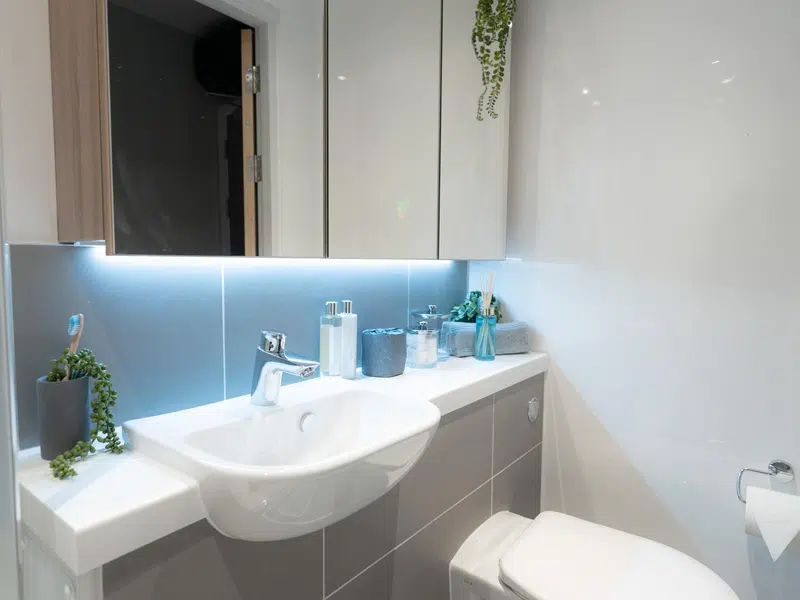 Classic Ensuite (4 Bed Flat) photo 5