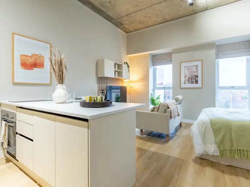 Comfy Studio Apartment photo 5
