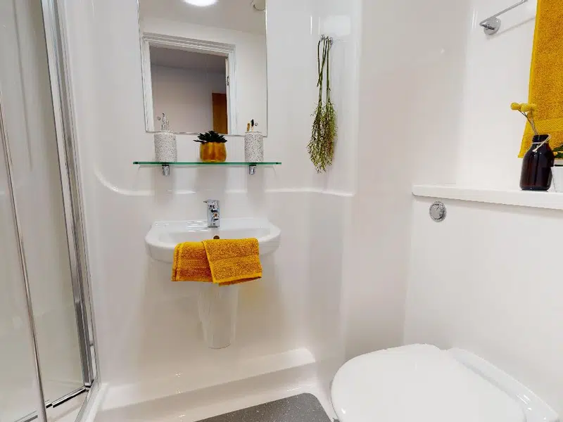 Copper En Suite photo 4