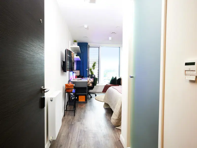 Premium Studio photo 3