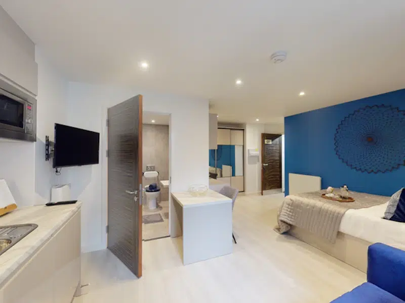 Deluxe Accessible Studio photo 3