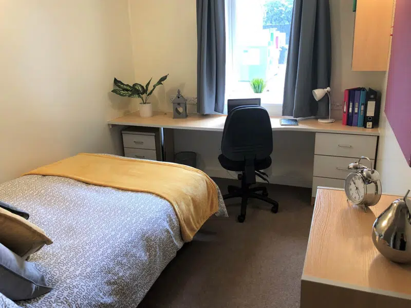 Deluxe En-Suite photo 5