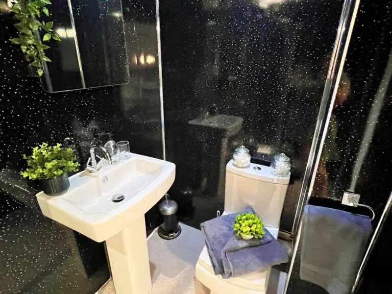 Deluxe En-Suite photo 6