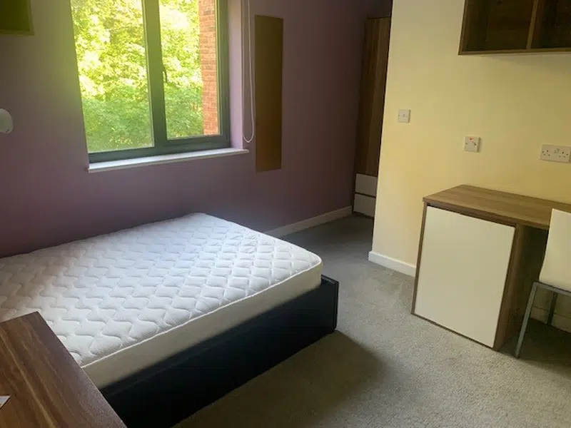 Deluxe En Suite, Behn Hall photo 3