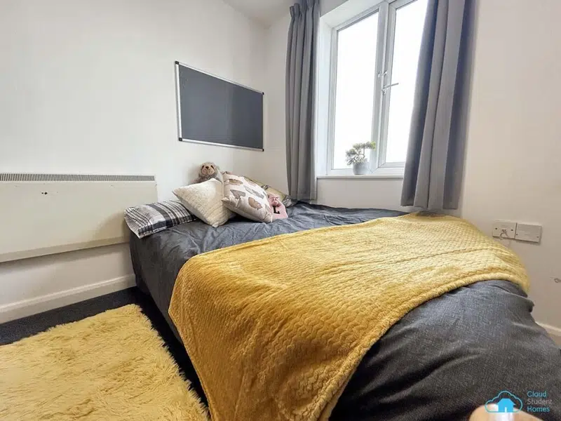 Deluxe En-suite Sedgemoor House photo 1