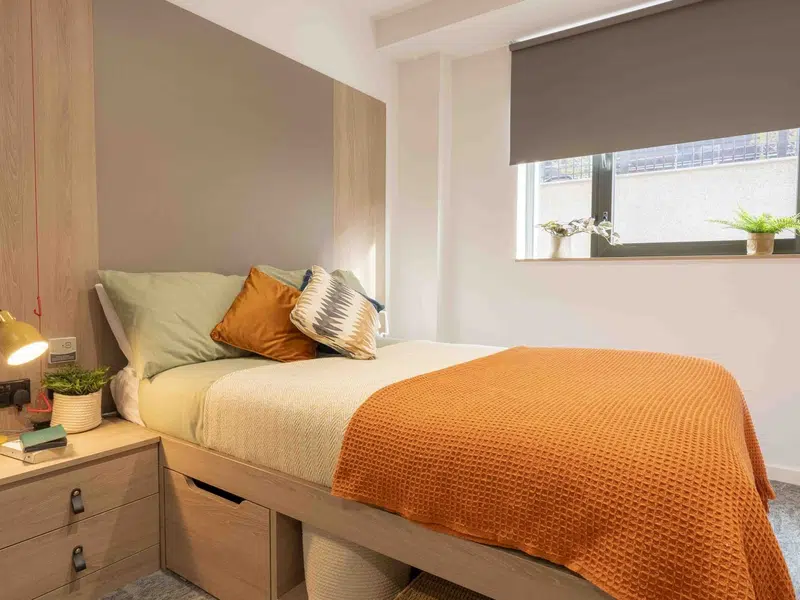 Gold Ensuite photo 4