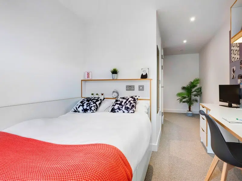 Deluxe Ensuite Plus photo 2