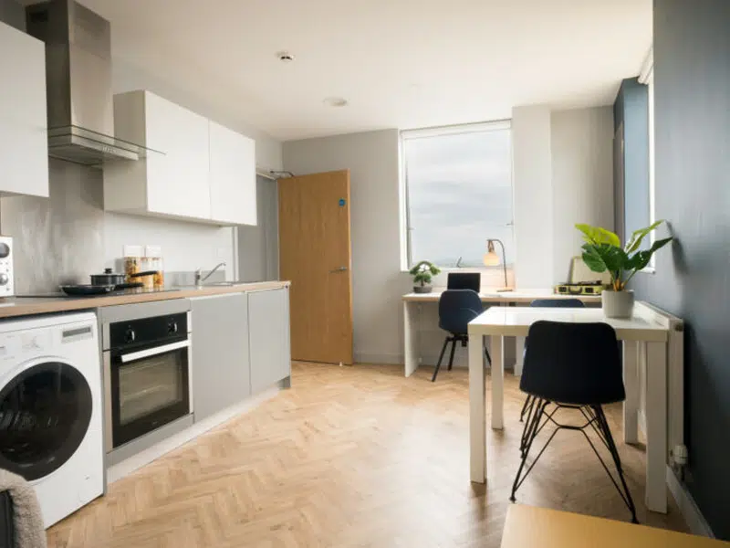 Deluxe Penthouse photo 1