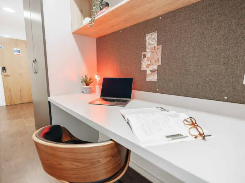 Deluxe Platinum En Suite photo 2