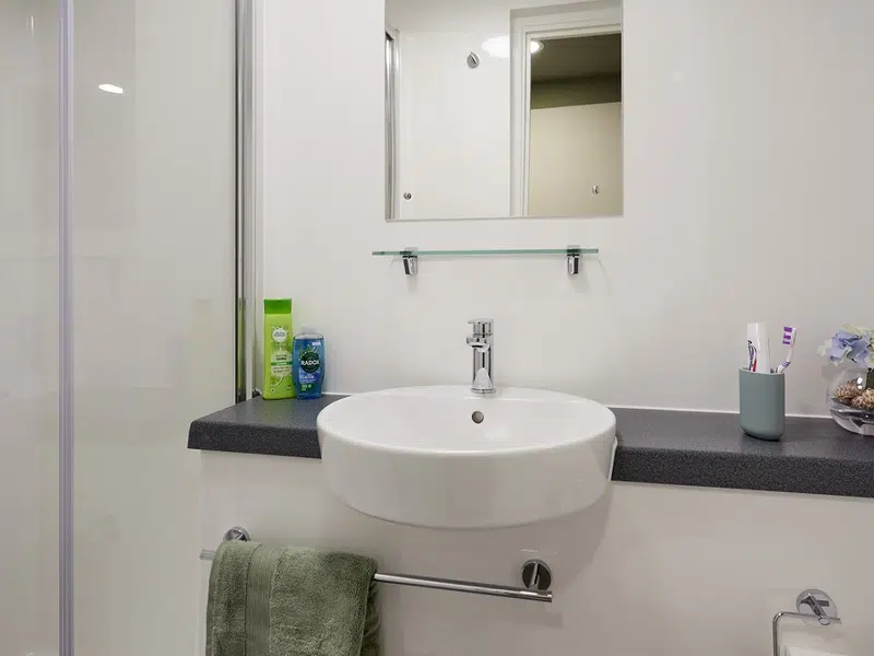 Deluxe Plus En-suite photo 2