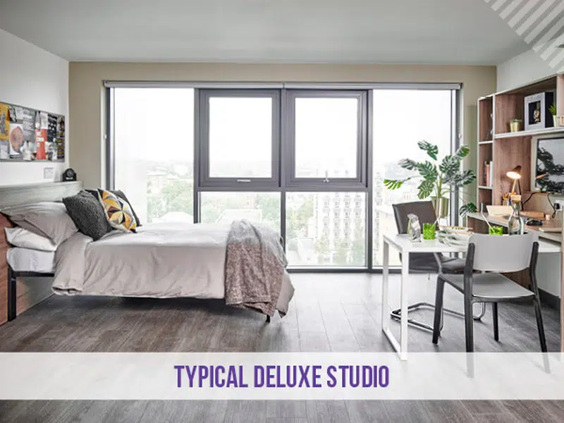 Deluxe Plus Studio photo 1