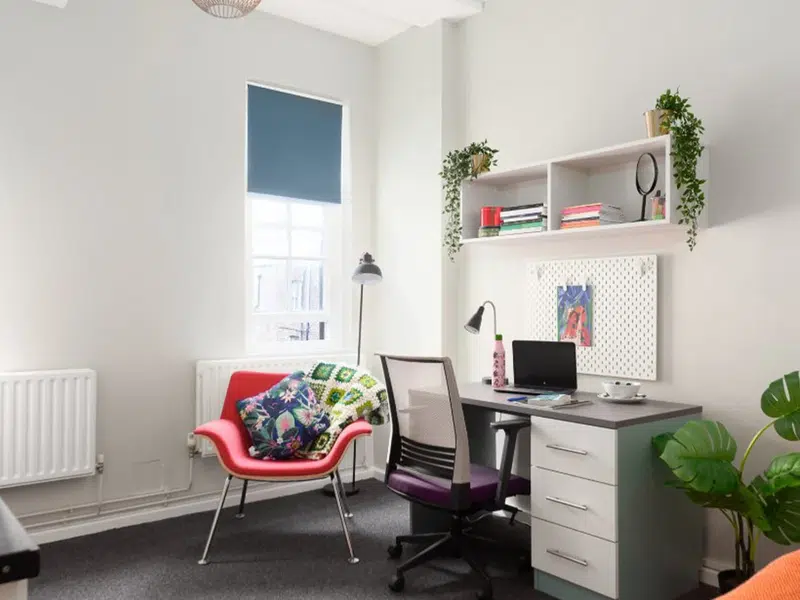 Deluxe Room photo 2