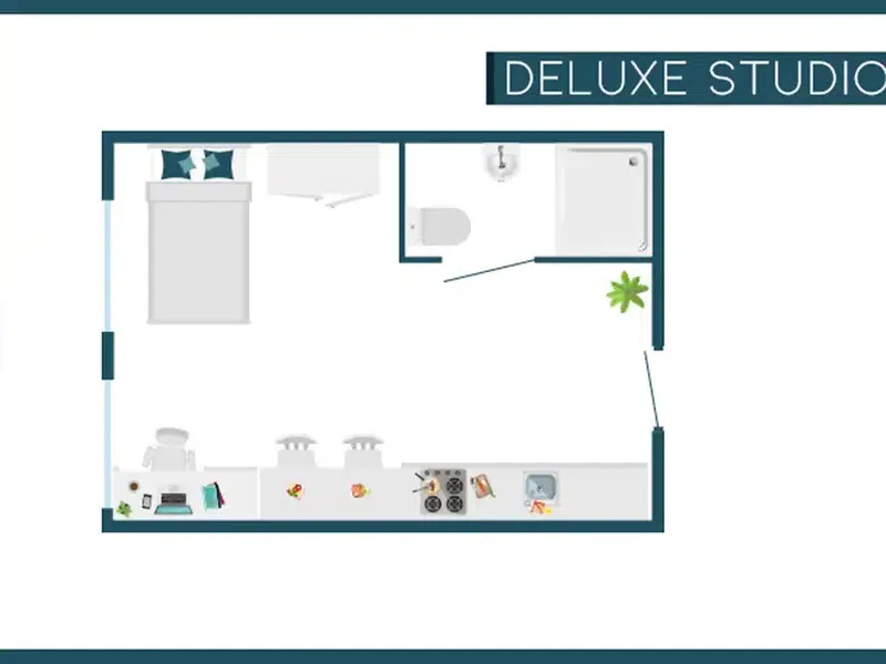 Deluxe Studio photo 5