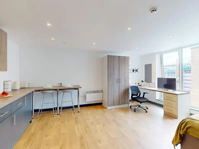 Penthouse Deluxe Studio photo 3