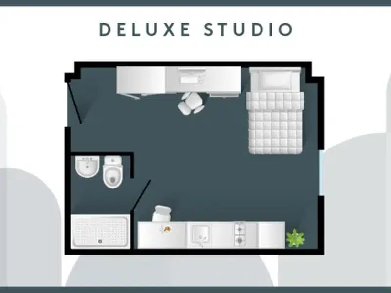 Deluxe Studio photo 3