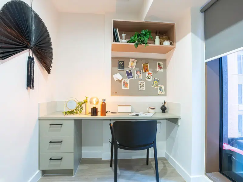 Deluxe Studio photo 6