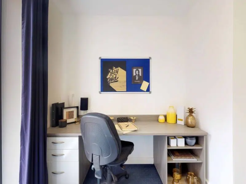 Deluxe Studio photo 5