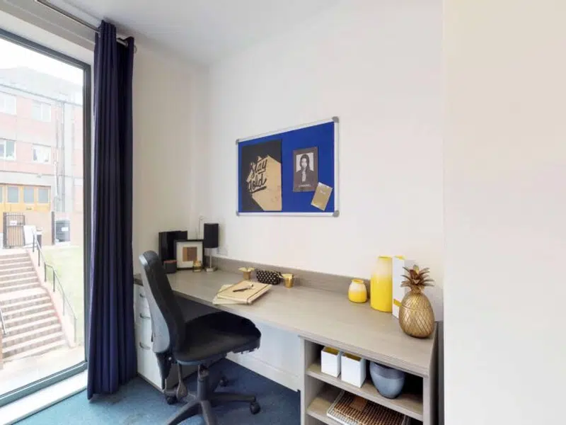 Deluxe Studio photo 3