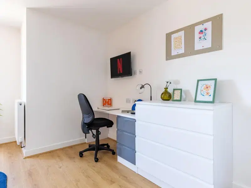 Deluxe Studio photo 3