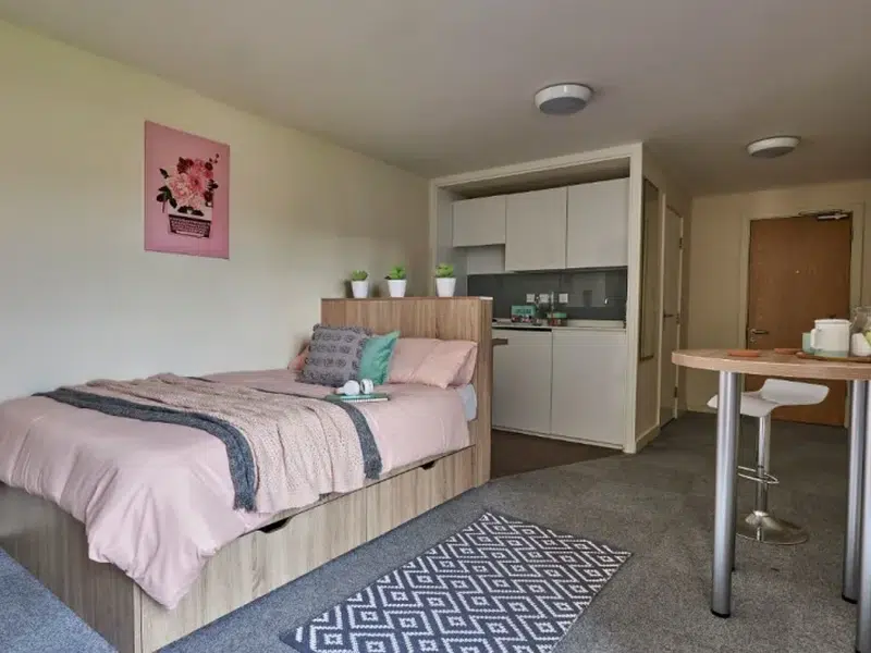 Deluxe Studio (Accessible) photo 1