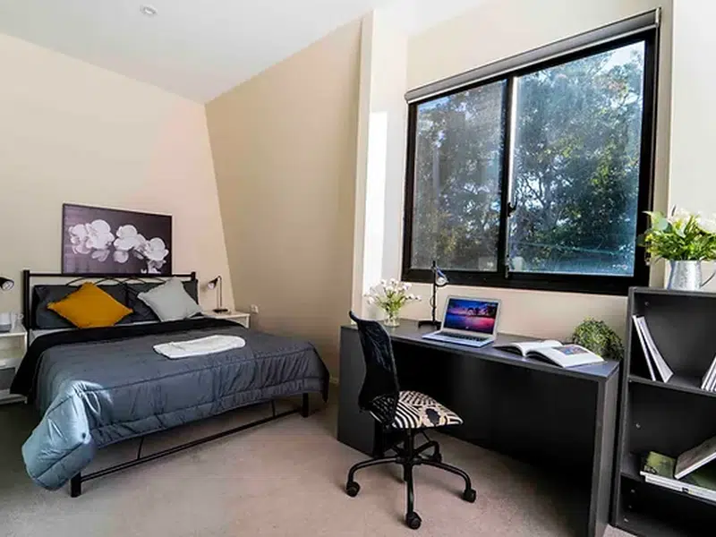 Deluxe Studio (With Air Conditioning) photo 4