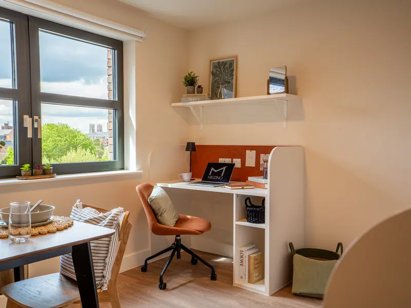 Deluxe Studio – Dual Occupancy photo 3
