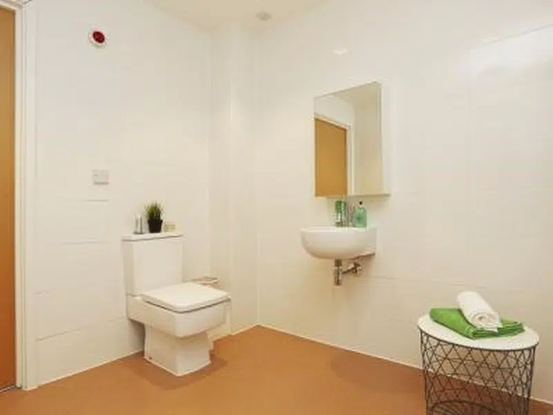 Wet Room Studio, Kentish House photo 4