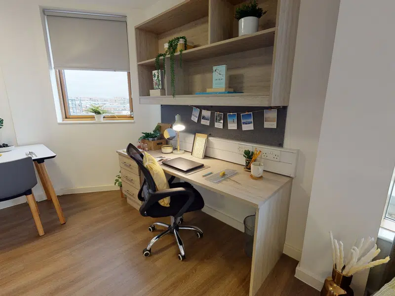 Diamond Studio photo 3
