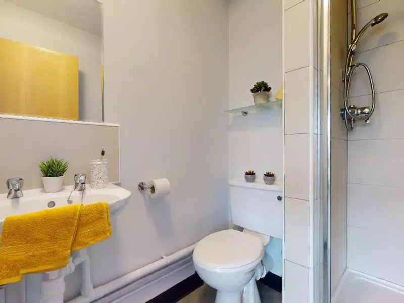 Platinum En Suite photo 5