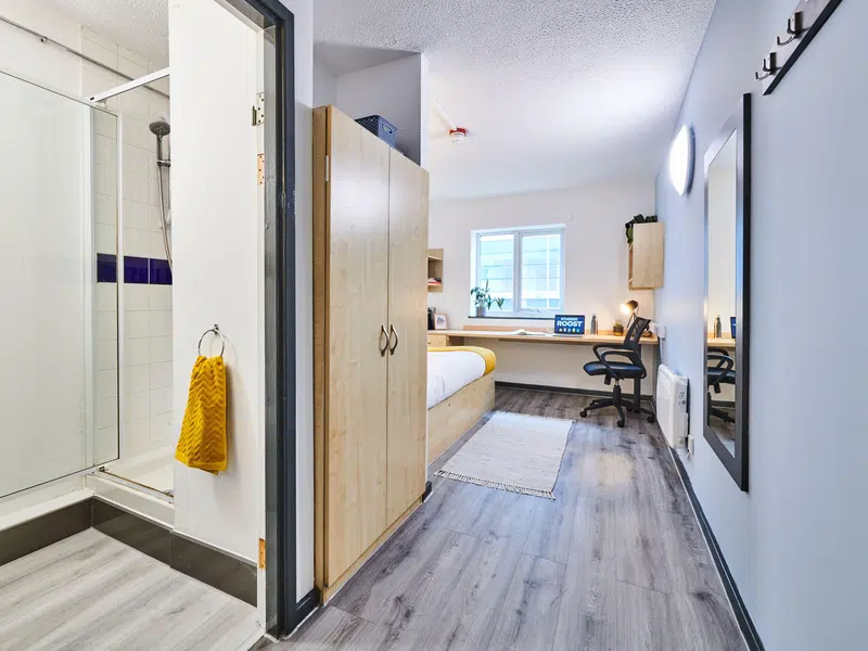 Ensuite Silver photo 4