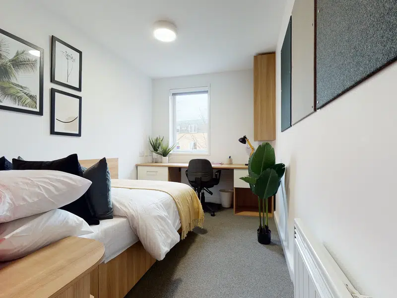 Ground Floor Four Bed Cluster photo 2