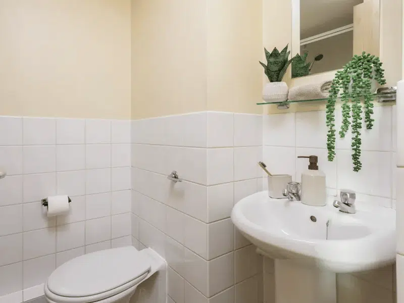 Basic Ensuite photo 3