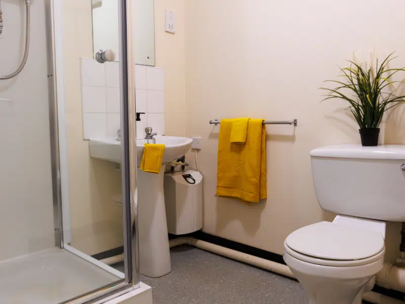 Bronze Single Non Ensuite photo 3