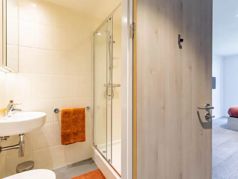 Ensuite Room photo 4