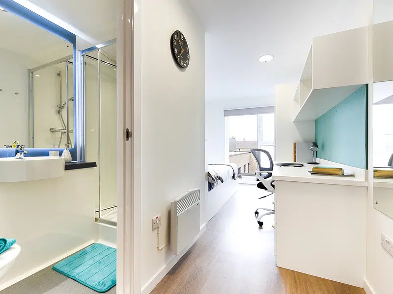 Ensuite Silver photo 3