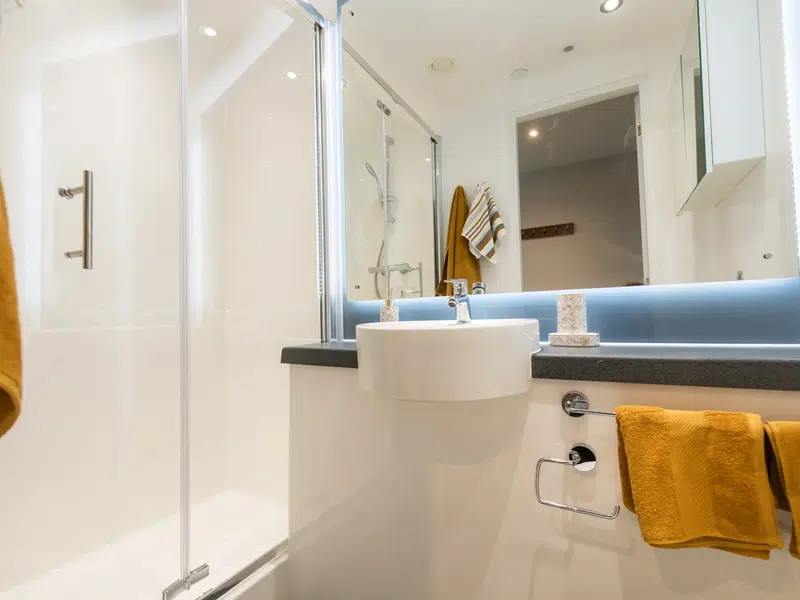 Ensuite Silver photo 4